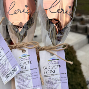 Buchet flori lavandă uscată